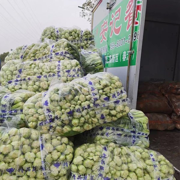 食材配送